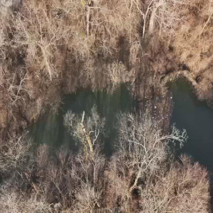 Beargrass Creek
